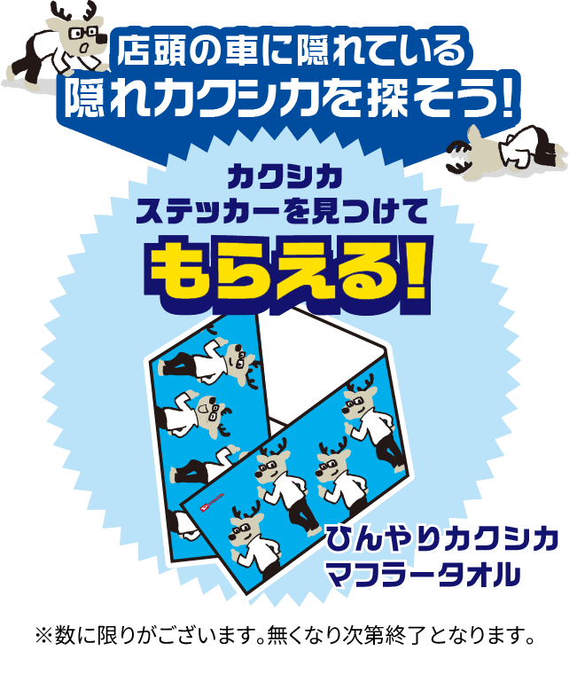 店頭の車に隠れている隠れカクシカを探そう！「カクシカステッカーを見つけてもらえる！ひんやりカクシカマフラータオル」※数に限りがございます。無くなり次第終了となります。